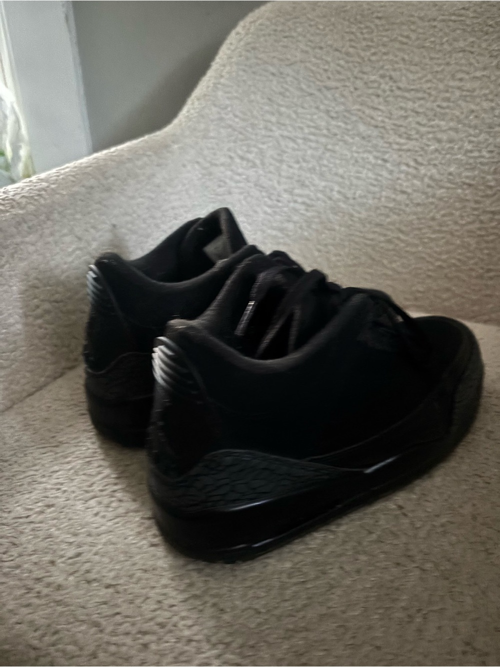 Jordan Men's All-Black Low Top Sneakers